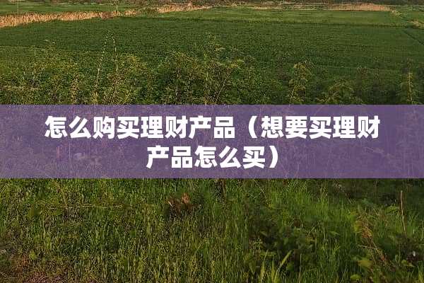 怎么购买理财产品（想要买理财产品怎么买）