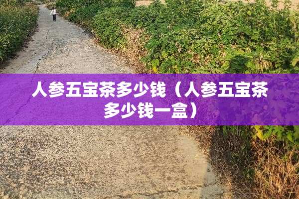 人参五宝茶多少钱（人参五宝茶多少钱一盒）