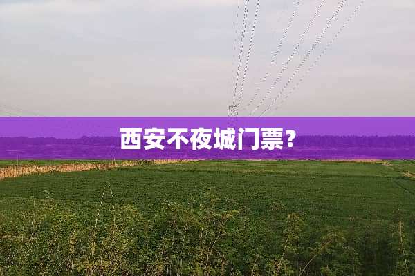 西安不夜城门票？