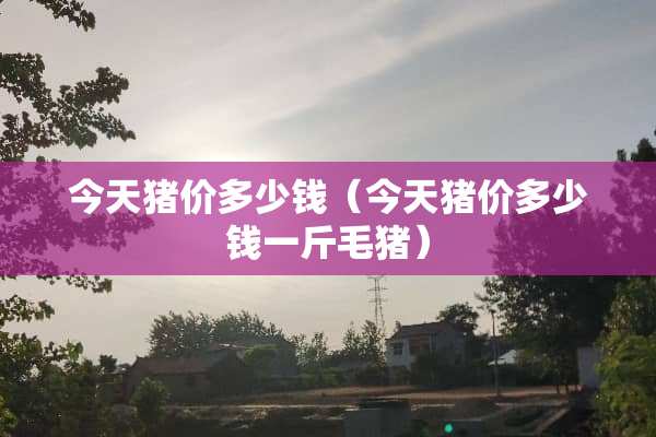 今天猪价多少钱（今天猪价多少钱一斤毛猪）