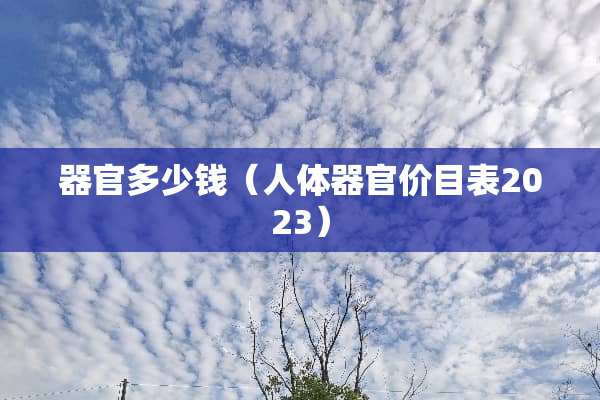 **多少钱（人体**价目表2023）