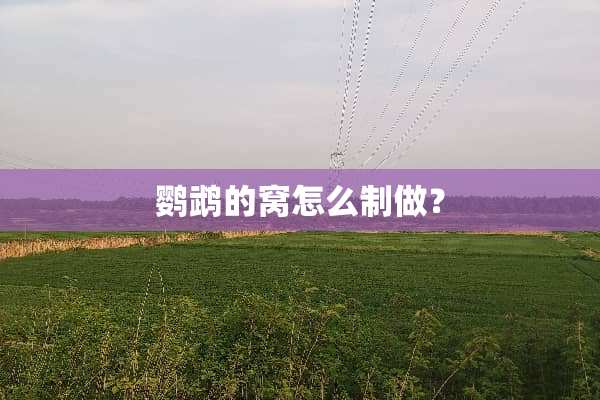 鹦鹉的窝怎么制做？