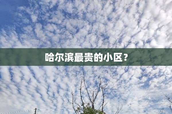 哈尔滨最贵的小区？