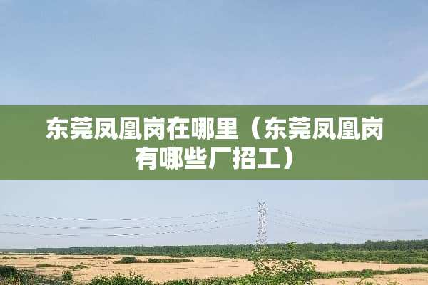东莞凤凰岗在哪里（东莞凤凰岗有哪些厂招工）