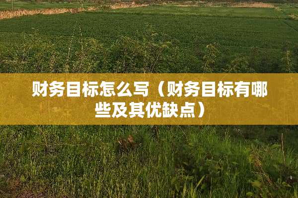 财务目标怎么写（财务目标有哪些及其优缺点）