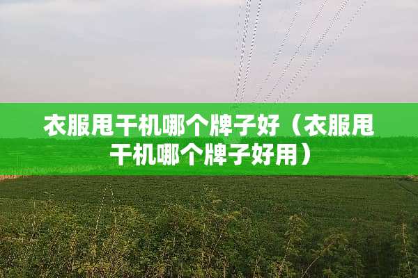 衣服甩干机哪个牌子好（衣服甩干机哪个牌子好用）