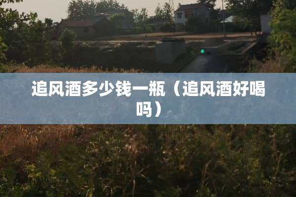 追风酒多少钱一瓶（追风酒好喝吗）