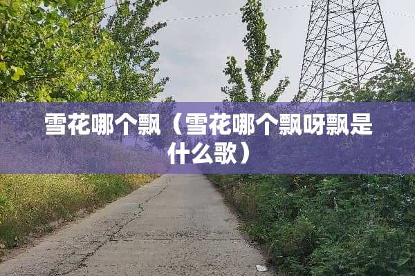 雪花哪个飘（雪花哪个飘呀飘是什么歌）