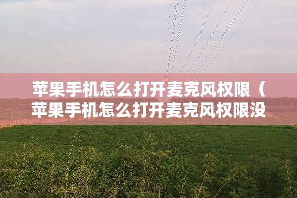 苹果手机怎么打开麦克风权限（苹果手机怎么打开麦克风权限没有显示快手直播伴侣）