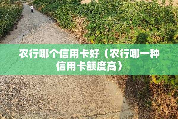 农行哪个***好（农行哪一种***额度高）