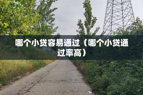 哪个小贷容易通过（哪个小贷通过率高）