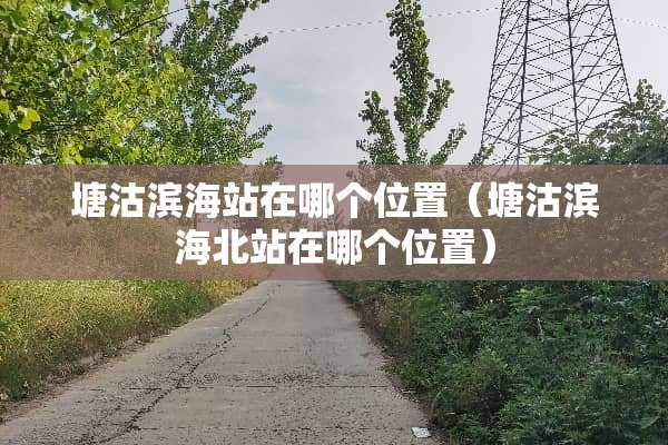 塘沽滨海站在哪个位置（塘沽滨海北站在哪个位置）