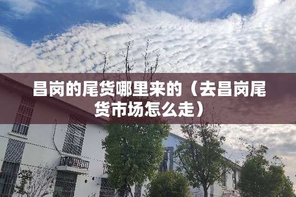 昌岗的尾货哪里来的（去昌岗尾货市场怎么走）