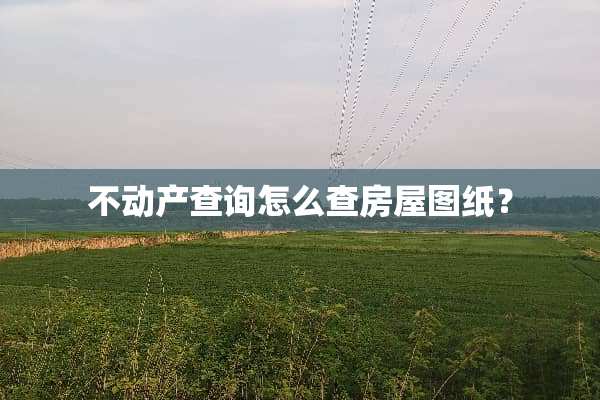 不动产查询怎么查房屋图纸？