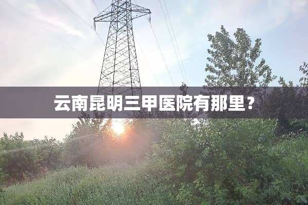 云南昆明三甲医院有那里？