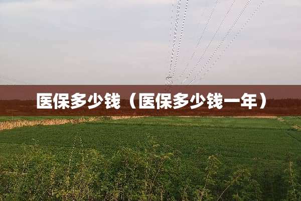 医保多少钱（医保多少钱一年）