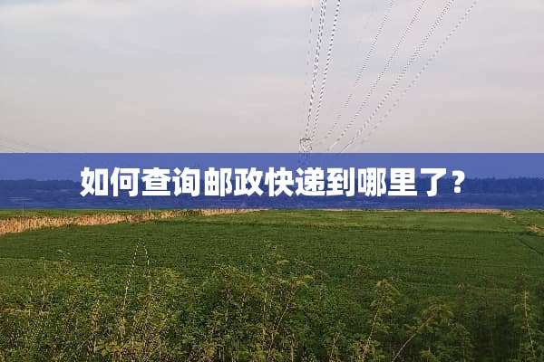 如何查询邮政快递到哪里了？