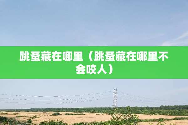 跳蚤藏在哪里（跳蚤藏在哪里不会咬人）