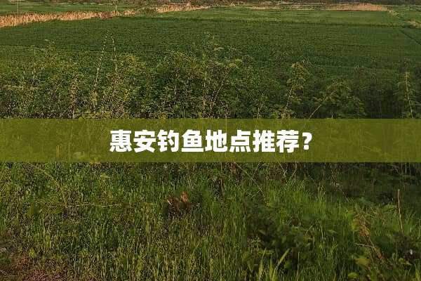 惠安钓鱼地点推荐？