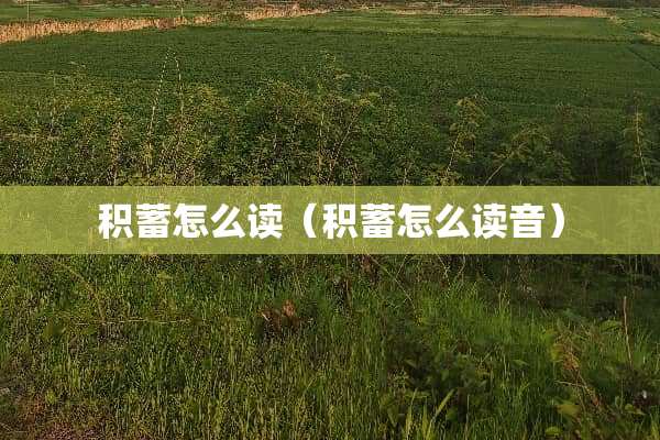 积蓄怎么读（积蓄怎么读音）