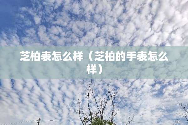 芝柏表怎么样（芝柏的手表怎么样）