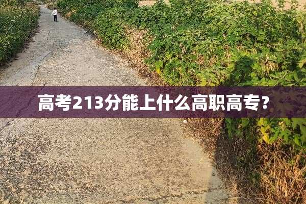 高考213分能上什么高职高专？