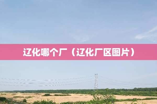 辽化哪个厂（辽化厂区图片）