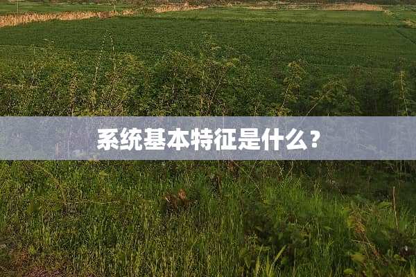 系统基本特征是什么？