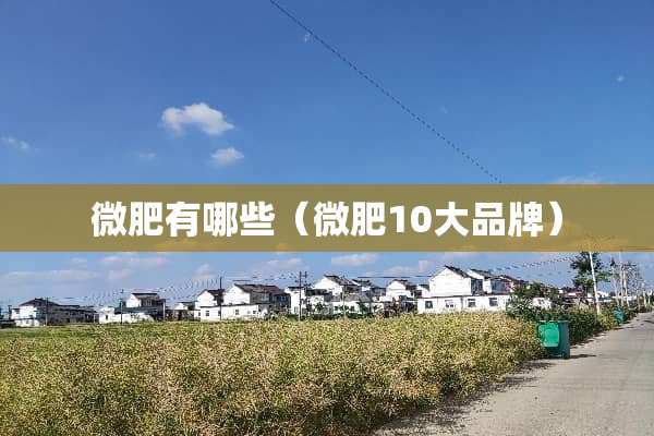 微肥有哪些（微肥10大品牌）