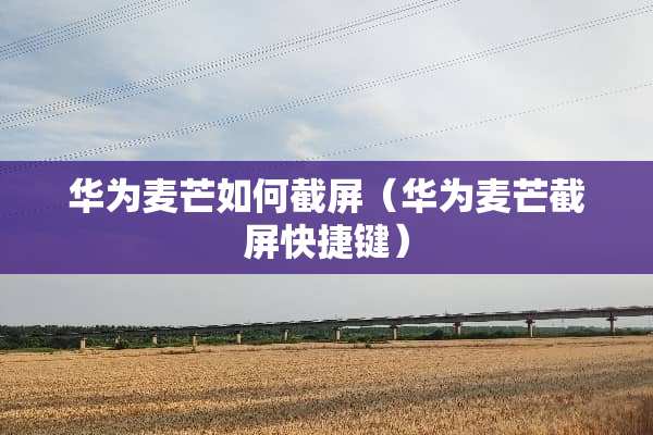 华为麦芒如何截屏（华为麦芒截屏快捷键）