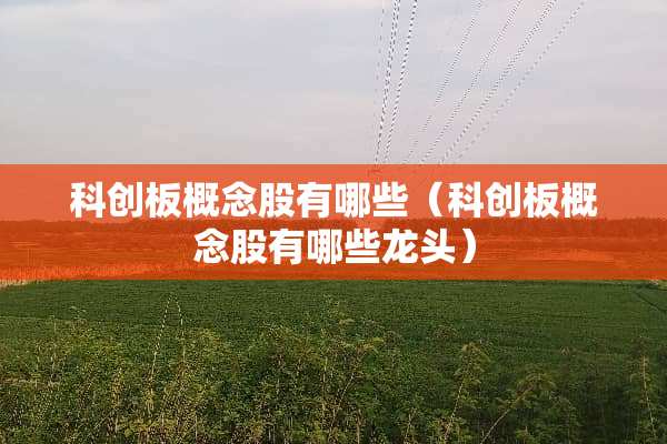 科创板概念股有哪些（科创板概念股有哪些龙头）