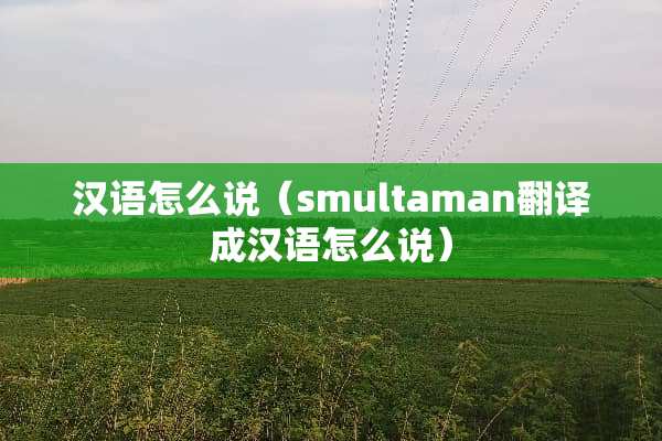 汉语怎么说（smultaman翻译成汉语怎么说）
