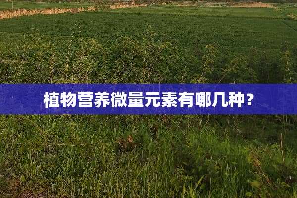 植物营养微量元素有哪几种？