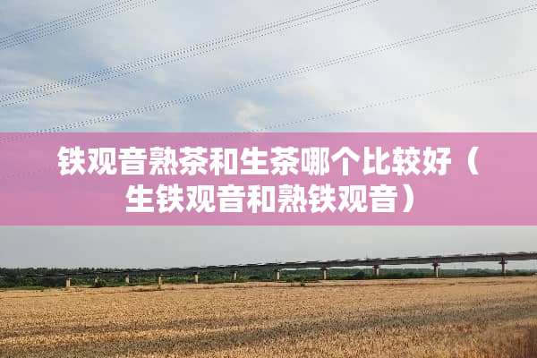 铁观音熟茶和生茶哪个比较好（生铁观音和熟铁观音）