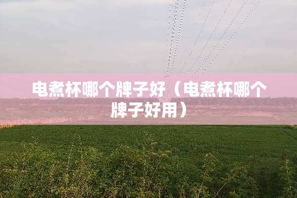 电煮杯哪个牌子好（电煮杯哪个牌子好用）