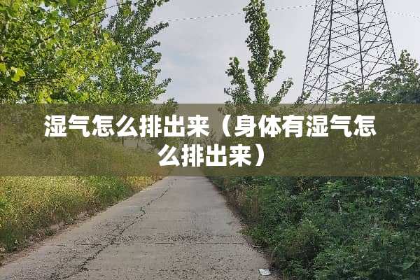 湿气怎么排出来（身体有湿气怎么排出来）