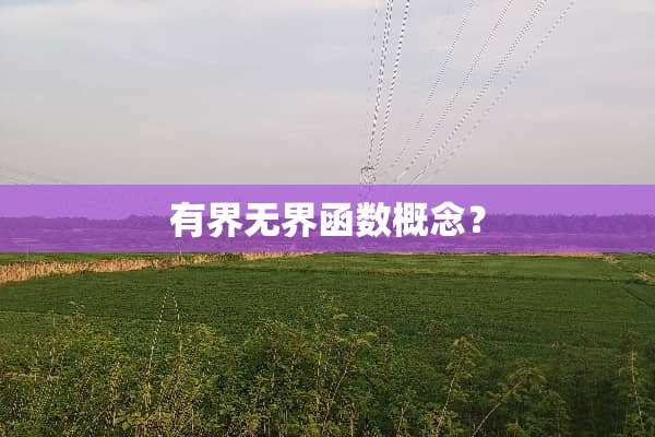 有界**函数概念？