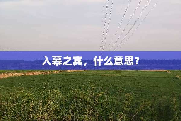 入幕之宾，什么意思？