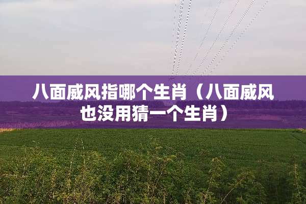 八面威风指哪个生肖（八面威风也没用猜一个生肖）