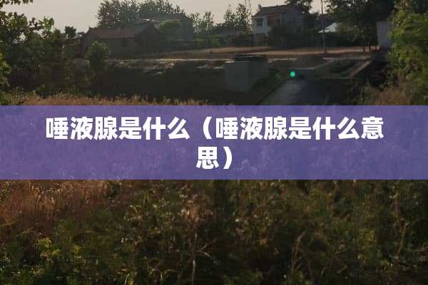 唾液腺是什么（唾液腺是什么意思）
