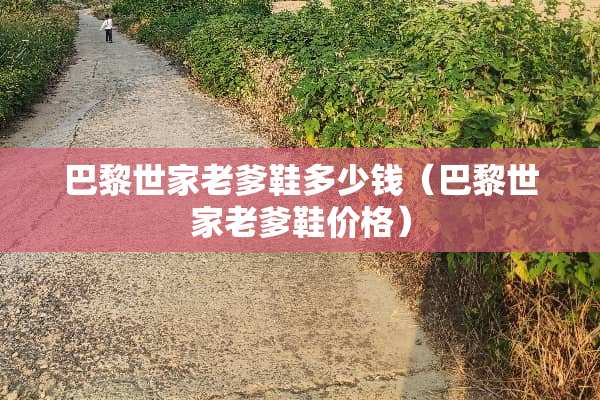 巴黎世家老爹鞋多少钱（巴黎世家老爹鞋价格）