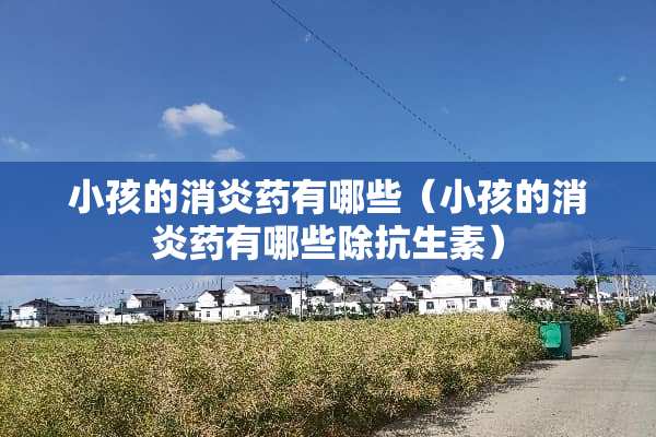 小孩的消炎药有哪些（小孩的消炎药有哪些除抗生素）