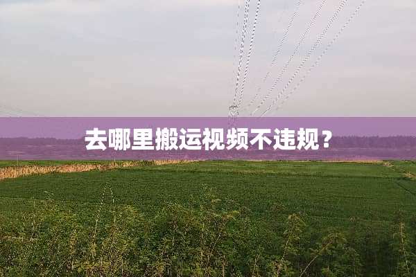 去哪里搬运视频不违规？