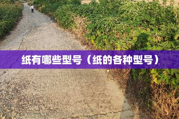 纸有哪些型号（纸的各种型号）