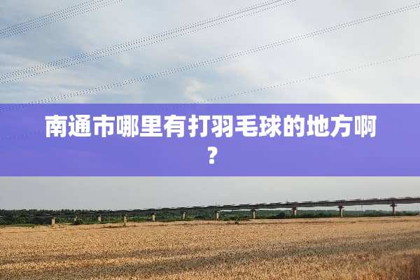 南通市哪里有打羽毛球的地方啊？