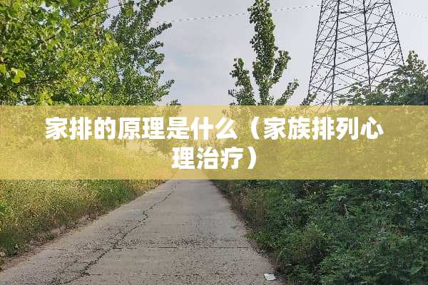 家排的原理是什么（家族排列心理治疗）