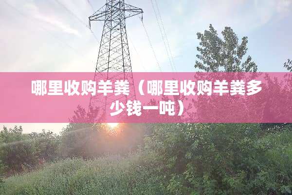 哪里收购羊粪（哪里收购羊粪多少钱一吨）