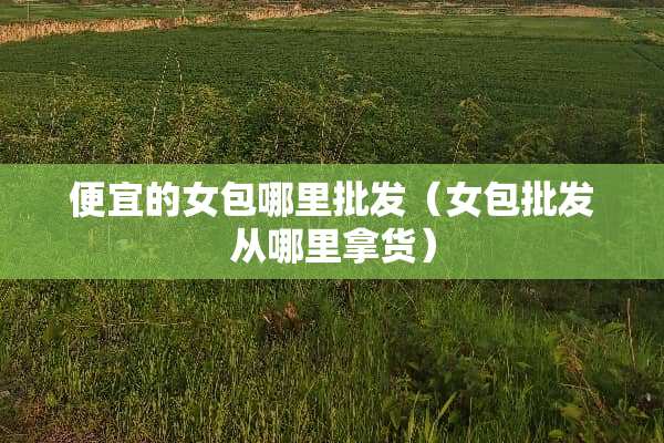 便宜的女包哪里批发（女包批发从哪里拿货）