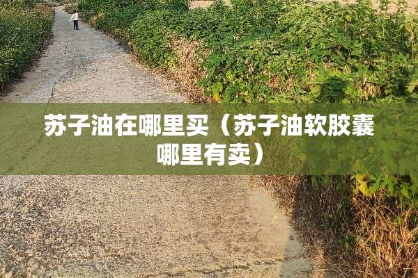 苏子油在哪里买（苏子油软胶囊哪里有卖）