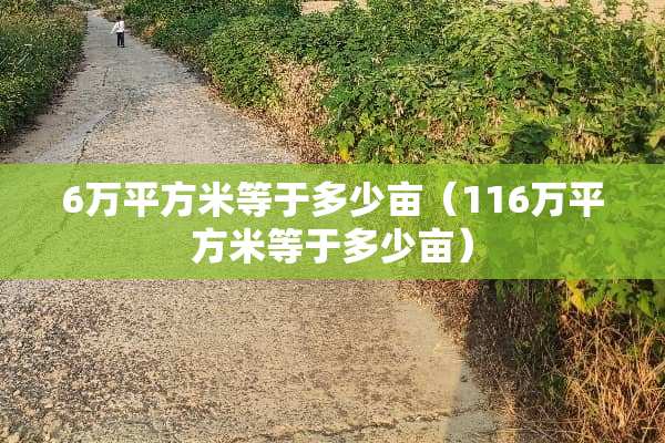 6万平方米等于多少亩（116万平方米等于多少亩）